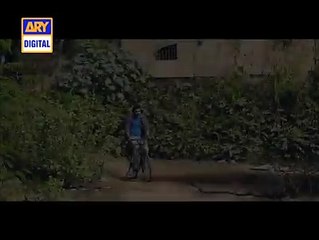 Shehzada Saleem Promo - ARY Digital