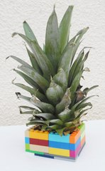 How to build lego Vase / How to make lego Vase / lego toys / How to build lego stuff