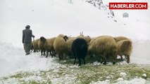 Yoğun Kar Kırsalda Çileye Dönüştü