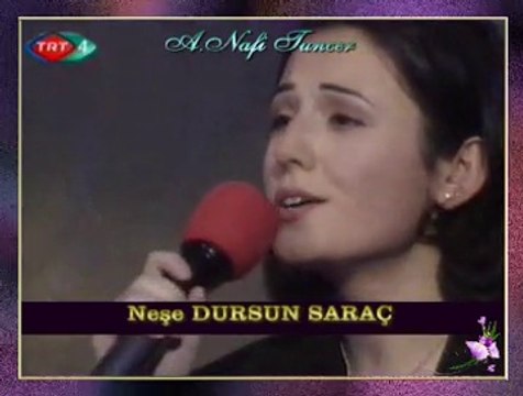 Neşe DURSUN SARAÇ & Ferit TINAZ-Nasıl Geçti Habersiz O Güzelim Yıllarım