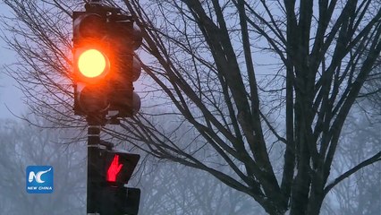 Blizzard shuts down Washington, D.C