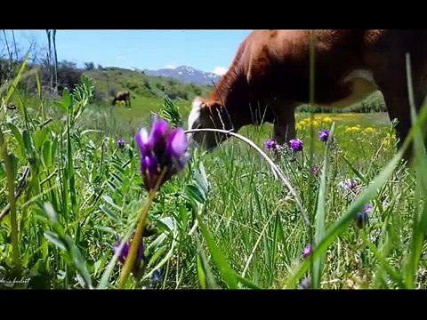 Güzyurdu Köyü Slayt Gösterisi (6)