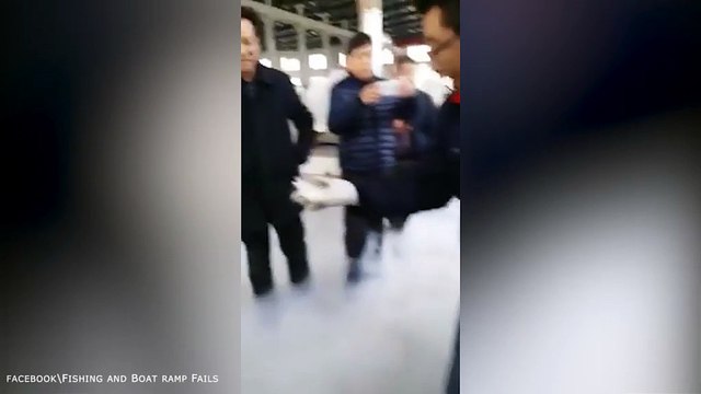 Frozen fish comes back to life after being thawed out