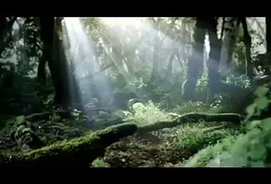 Короткий ролик.