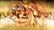 Sarkar Ka Nokar Hun Koi Aam Nahi Hun Hafiz Tahir Qadri Ramzan Album 2015 Official Video - YouTube