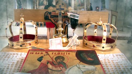 uvod Milica i Nemanja 15.11