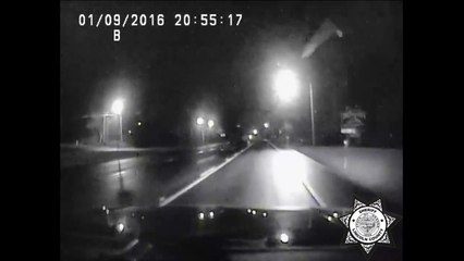 Police catch toddler running down US highway