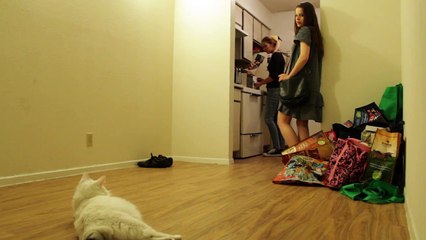 The Script - The Man Who Can\'t Be Moved