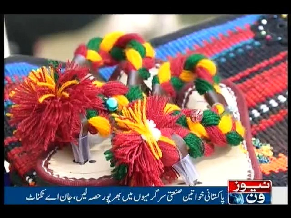 Karachi: Ladiesfund, Speed networking event organized in British council