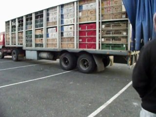 Laché de pigeons Gien 2011