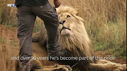 Big Cats - An Amazing Animal Family