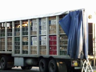 laché de pigeons Gien 2011