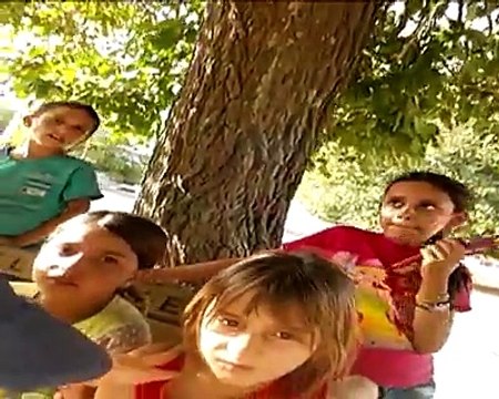 Waqar zaka Exposed Syria issues