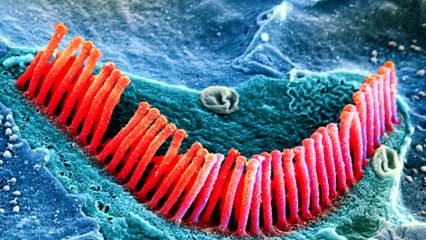 Вредят ли наушники [SLIVKI SHOW]