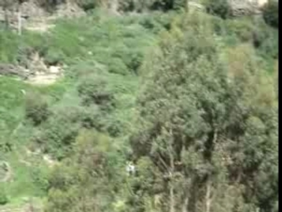 Equateur - Train des Andes