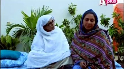 Ye Mera Deewana Pan Hai Episode 46 A Plus Entertainment Drama 23rd January 2016