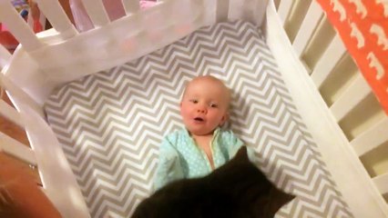 Voici un bébé bien content de la petite visite de son chat