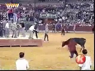 Panga Lenay Ka Aanjam -پنگا لینے کا انجام