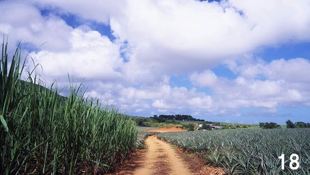 【3H】マイペースなブルーグラスカントリー・Mypace Bluegrass Country Music（長時間作業用BGM)