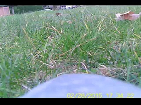 RCPOWERS f18 v3 Jolly Rogers nose cam