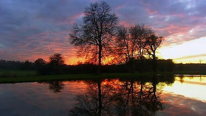 Jane Seymour and Anne of Cleves