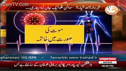 How Swine Flue Can Be Dangerous