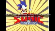 Knothole Freedom Fighters of Sonic the Hedgehog (TV series) Top 7 Facts