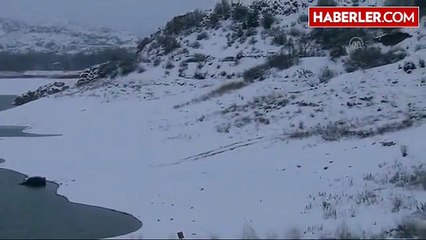 Otomobil Baraja Düştü