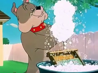 Tom and Jerry Slicked up Pup Part 1