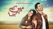 Main Kaisay Kahun Episode 3 on Urdu1