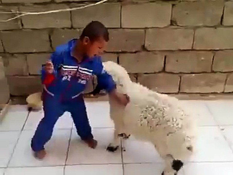 Top Funny Video That Will Blow Up Your Mind | Compilation Part 2
