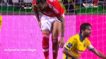 Jonas Goal HD - Benfica 3-0 Arouca - 23-01-2016