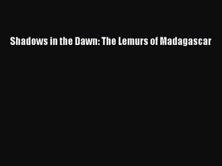 (PDF Download) Shadows in the Dawn: The Lemurs of Madagascar Read Online