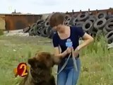 ayı kadına saldırıyor yeni