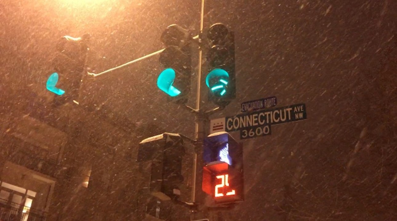 Watch tranquil footage of D.C.'s monster winter storm