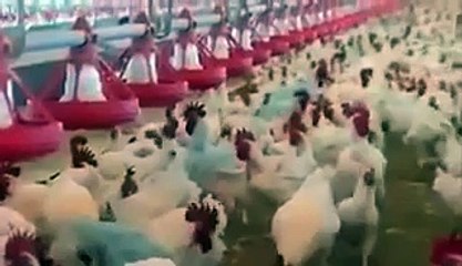 شریف خاندان کا کاروبار ایک چونکا دینے والی خبر سامنے آگئی