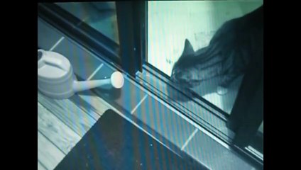 REAL ALIEN SIGHTING!  Spooky Original Video sighting