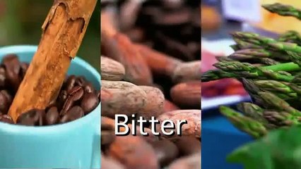 House of Food S01E04 Sensory Overload PDTVx264 JIVE