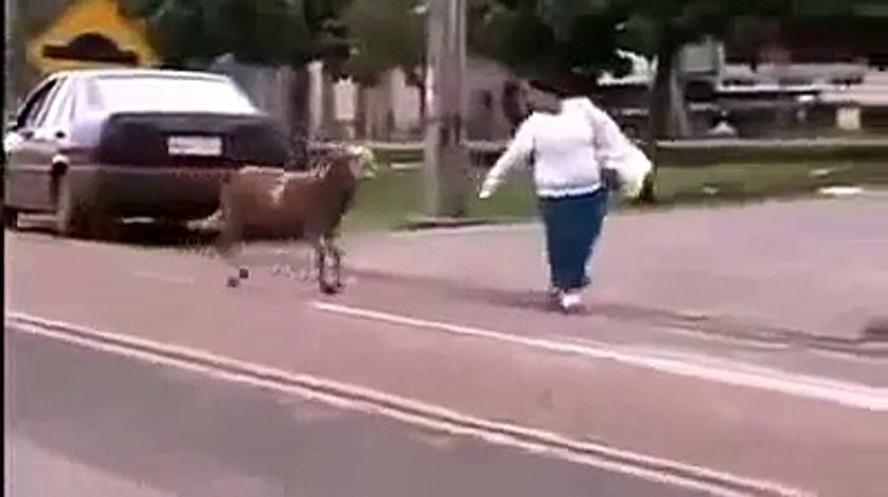 Après l'empire contre attaque, voici le mouton contre attaque.Mdrr