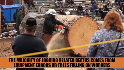 The 10 Most Dangerous Jobs In The World