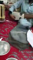 Da Musafaro Pashto Tapay Tang Takoor Program || Pashto Qawali || Pashto Songs