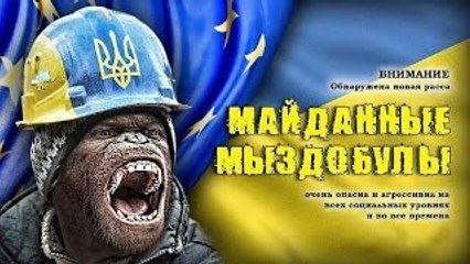 Приколы про Украину №4