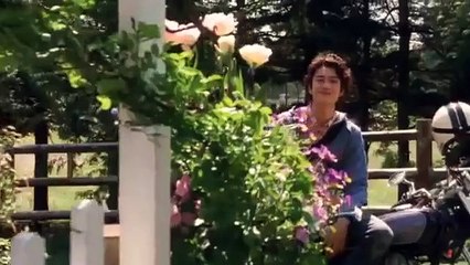 映画 2011 瞬 またたき 北川景子､大塚寧々､岡田将生