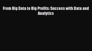 [PDF Download] From Big Data to Big Profits: Success with Data and Analytics [Read] Online