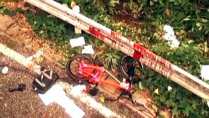 日本映画 bird call