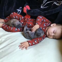 A baby taking a nap with his canine pals!