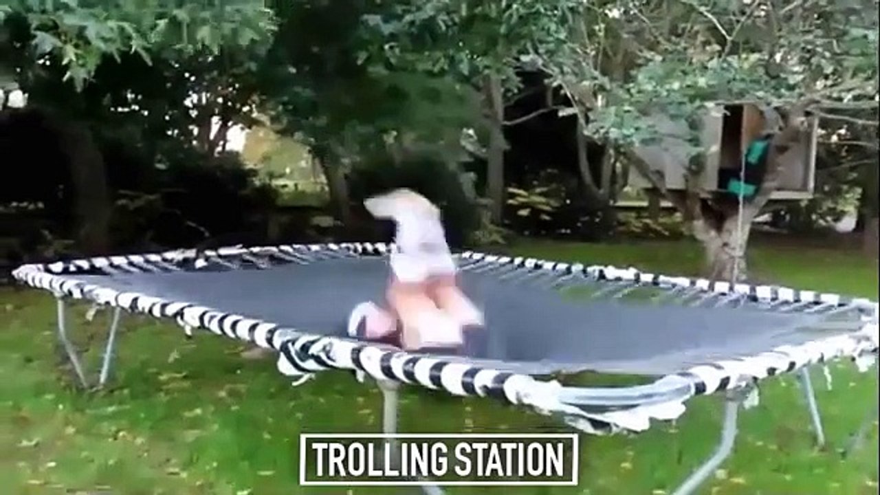 Kazaya Şahit Olan Küfürbaz Kamyoncu Dayı Efsane Troller Gülme Garantili