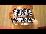 [잉여맨] 귀엽냥? [ 말하는고양이 인형 리뷰 feat.강아지 ] Talking cat おしゃべりネコぬいぐるみ