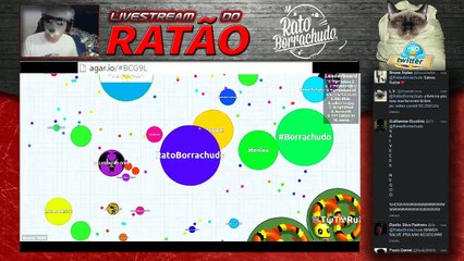 A LIVE DO MILHÃO NÃO PODE PARAR E HOJE COM DESPEDIDA DE SOLTEIRO DO STEREO