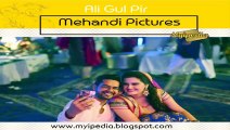 Ali Gul Pir Mehandi Pictures